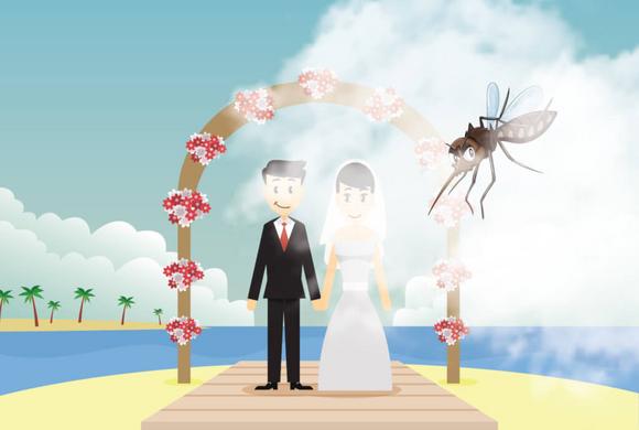 Is Mosquito Fogging Safe?
